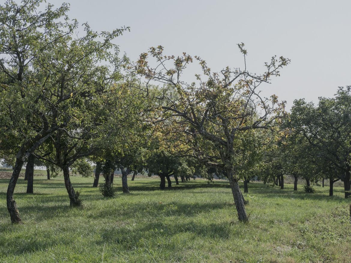 Bild 18