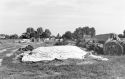 Agrarland Vorderpfalz 38