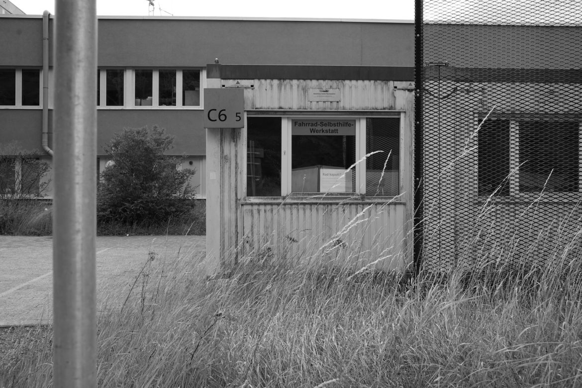 lichtung-05
