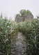 22_chantalv_196F_1_2010
