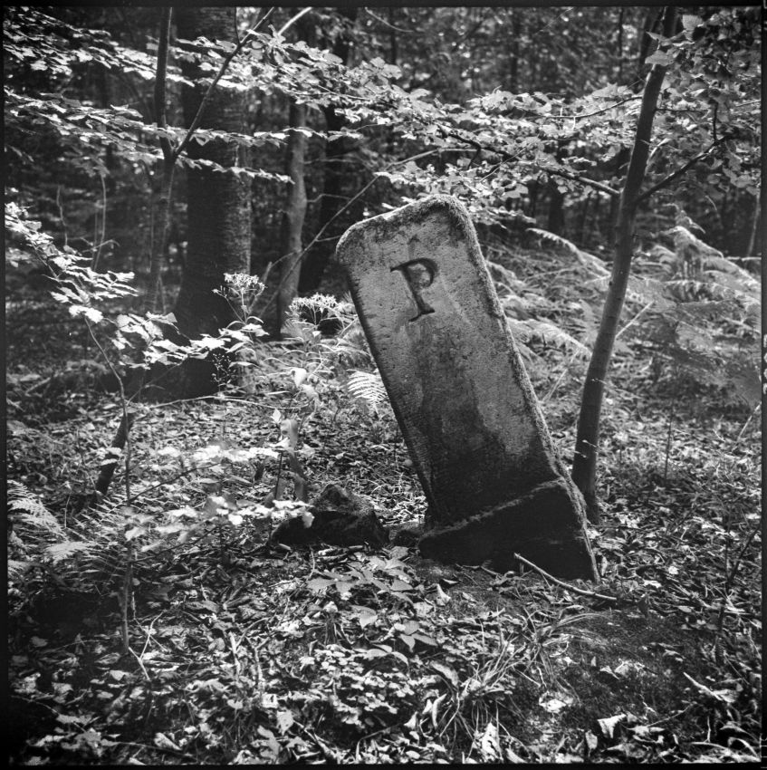 25 Grenzgänge-188