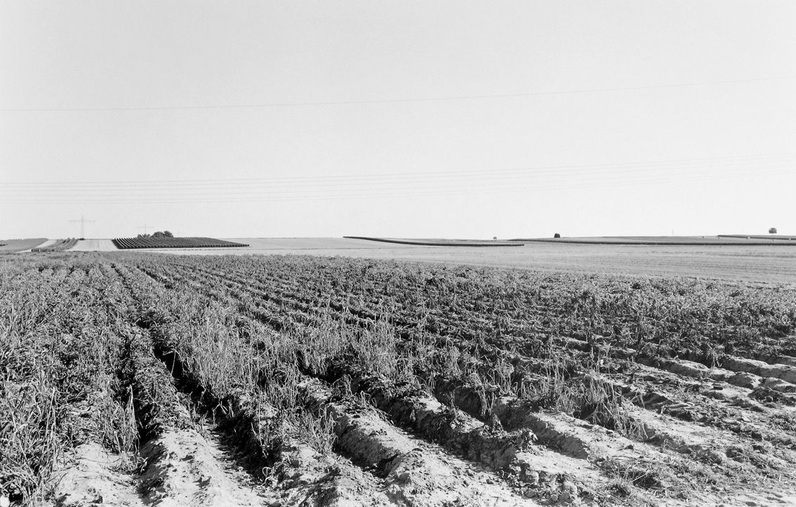 Agrarland Vorderpfalz 78