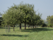 Bild 02