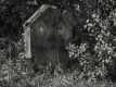 Bild 017
