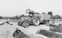 Agrarland Vorderpfalz 34