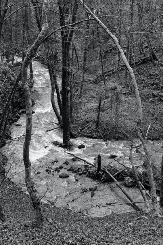 An der Alf-08