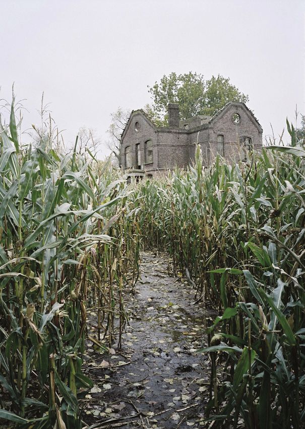 22_chantalv_196F_1_2010
