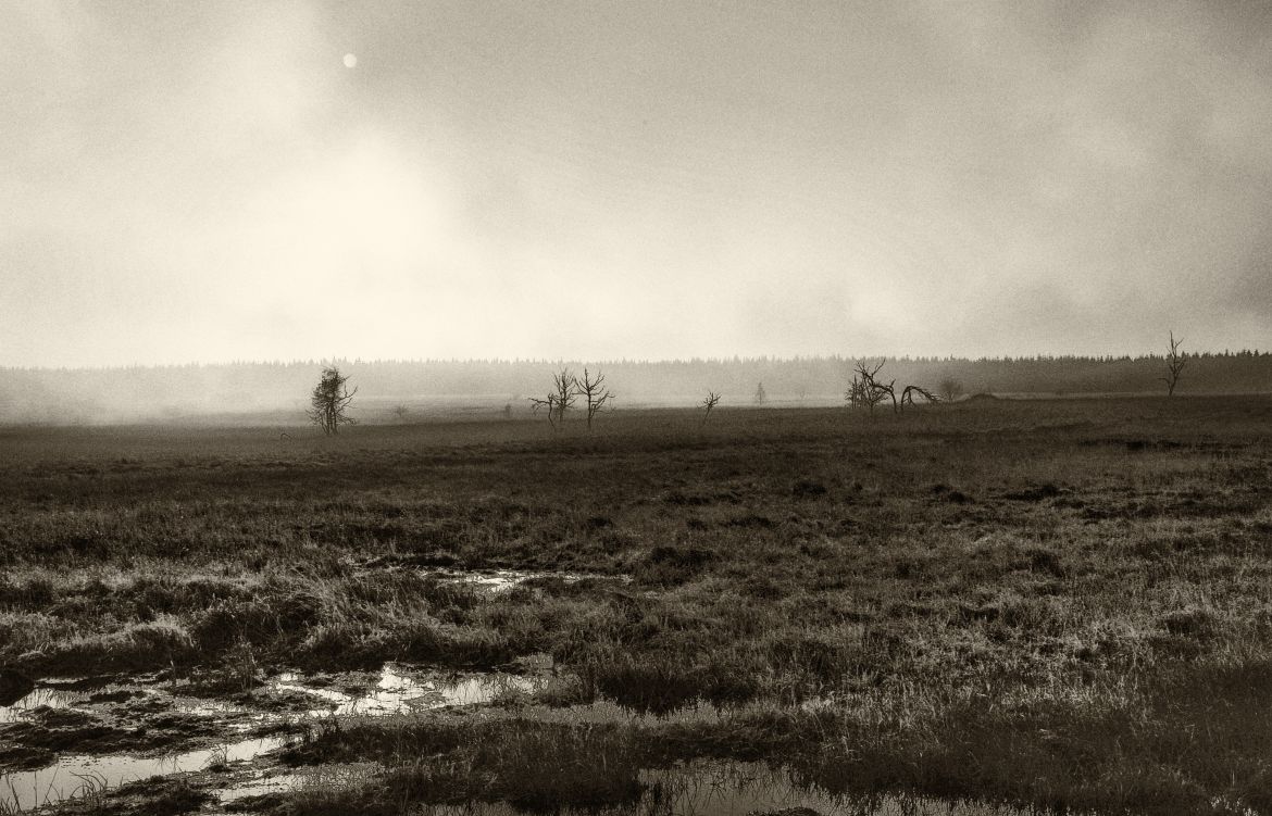 Hohes Venn 19