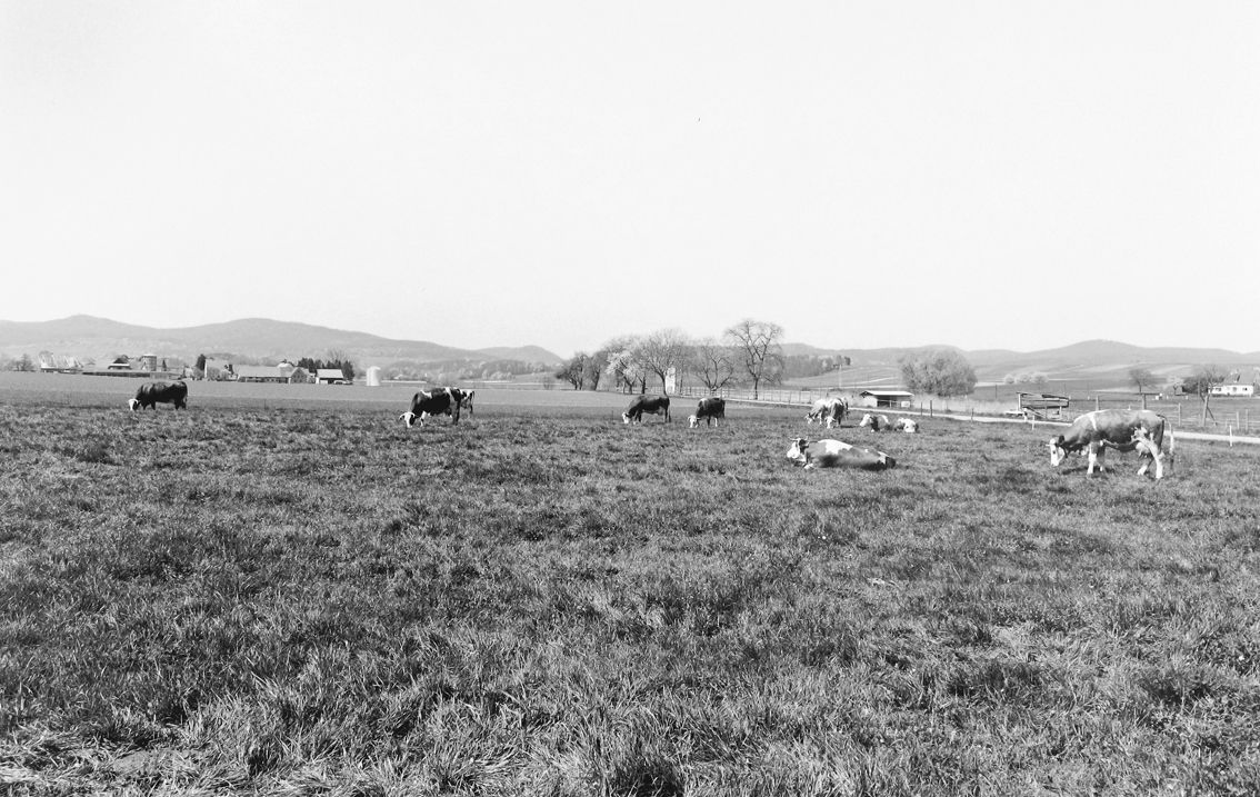 Agrarland Vorderpfalz 30