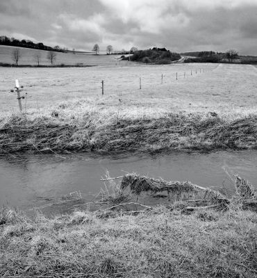 An der Alf