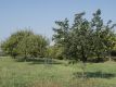 Bild 04