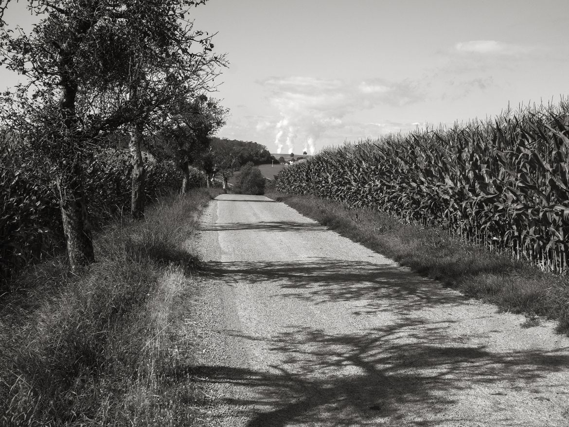 Bild 014