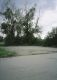 06_chantalv_175F_7_2010