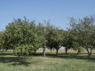 Bild 01