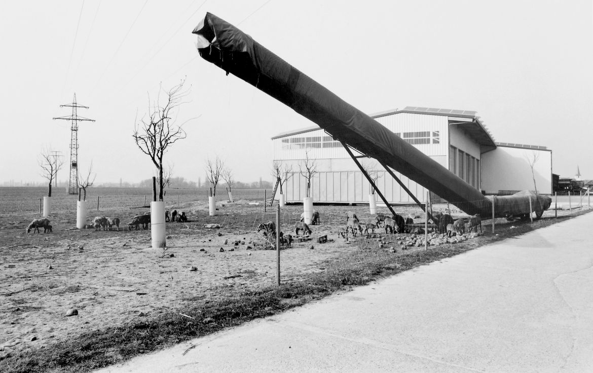 Agrarland Vorderpfalz 18