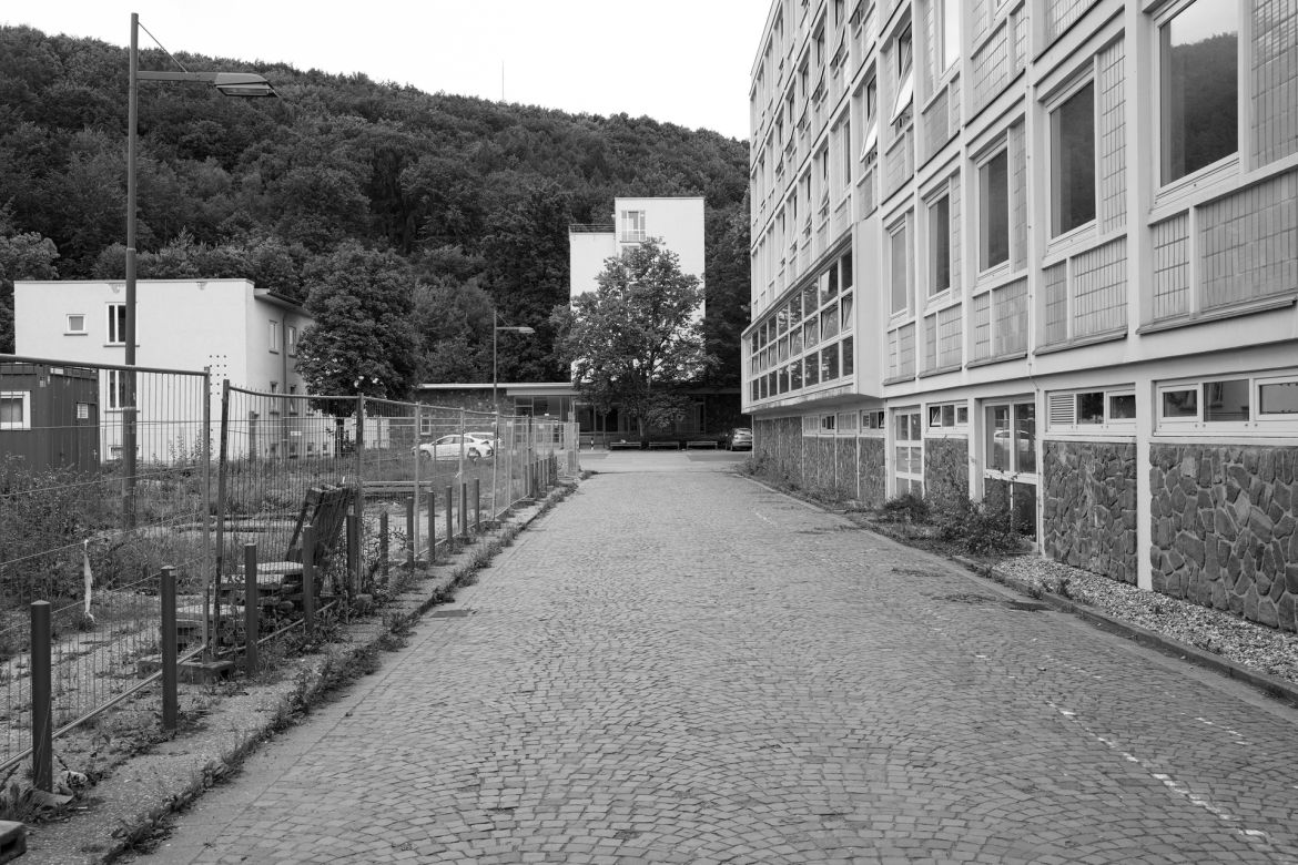 lichtung-11