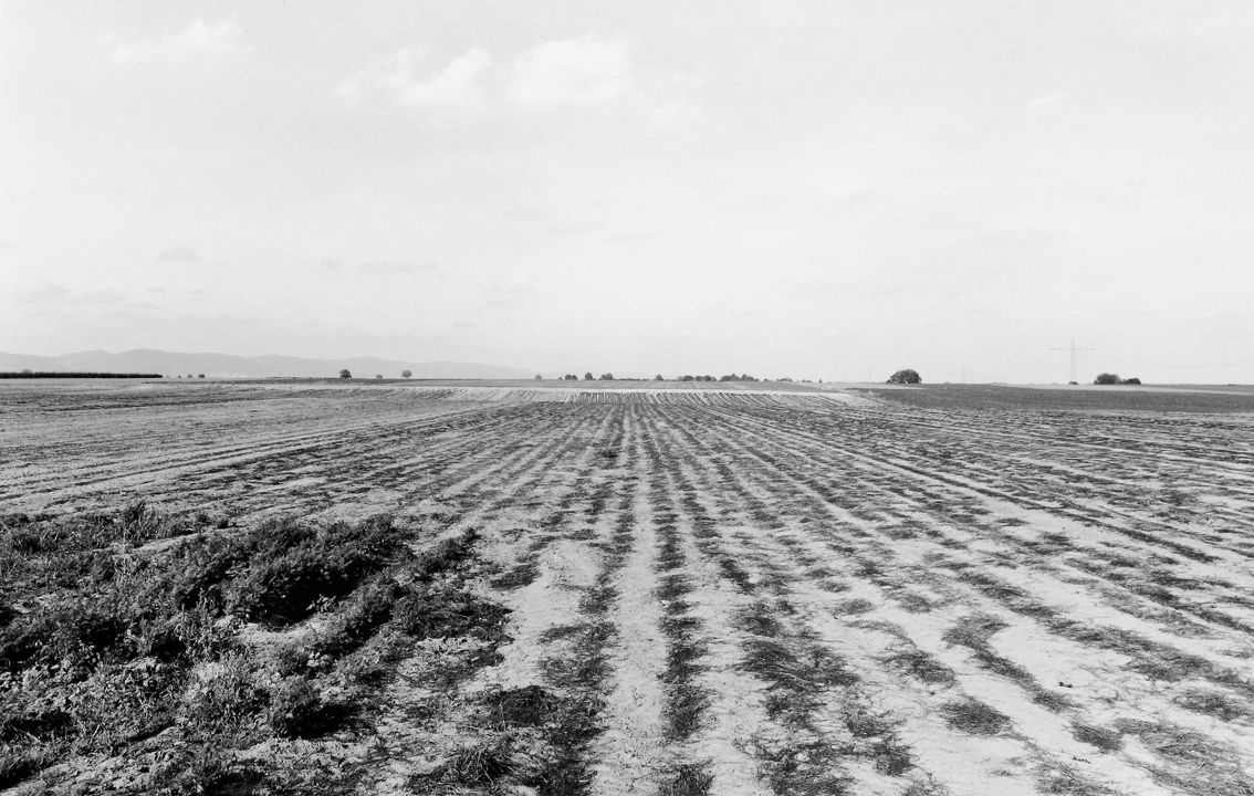 Agrarland Vorderpfalz 76