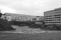 lichtung-29