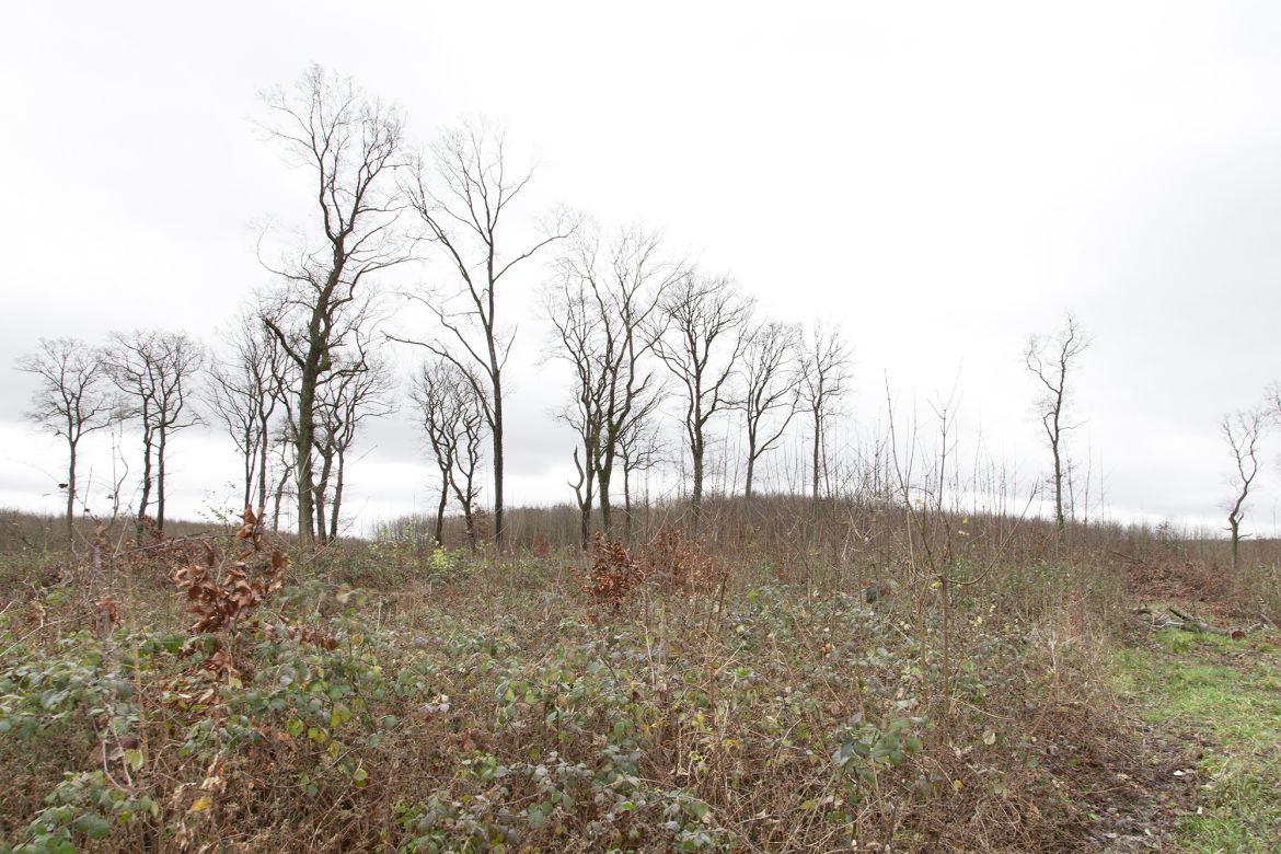 11_Paysage_d_automne_2015