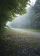15_chantalv_184F_13_2010