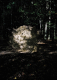 16_chantalv_186F_14_2010