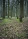 12_chantalv_181F_7_2010