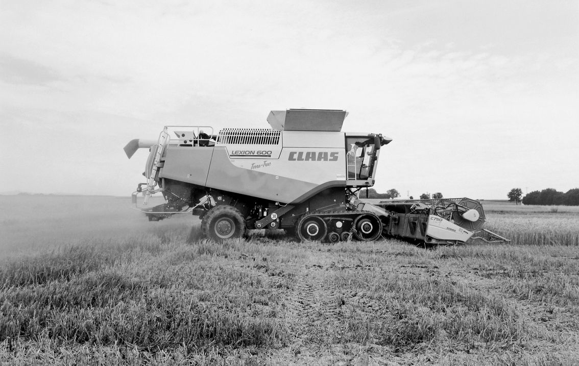 Agrarland Vorderpfalz 83