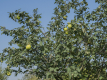 Bild 05