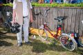 11 World-Klapp_Herxe