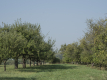 Bild 06
