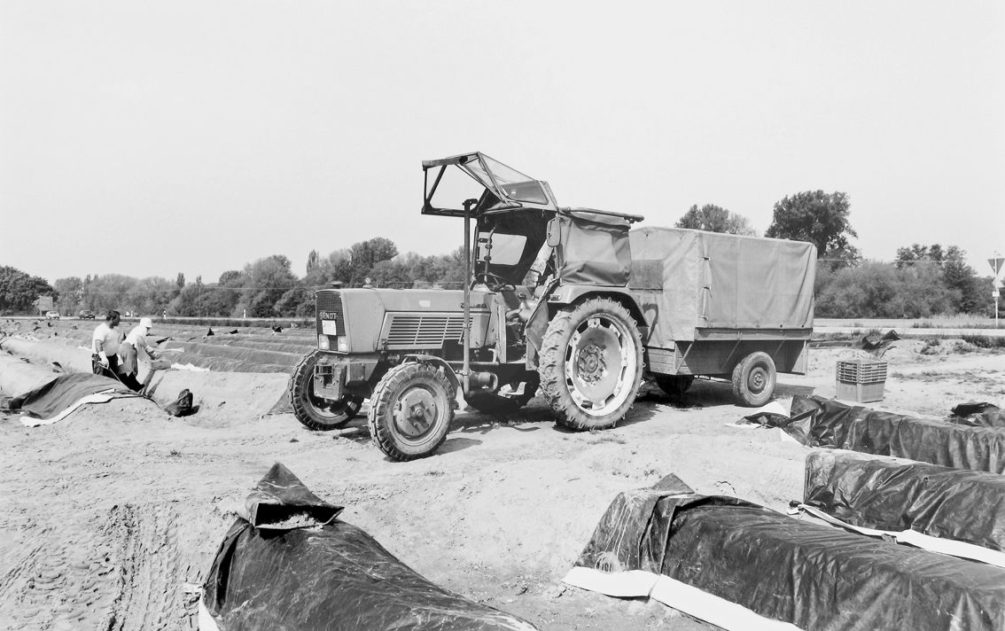 Agrarland Vorderpfalz 34