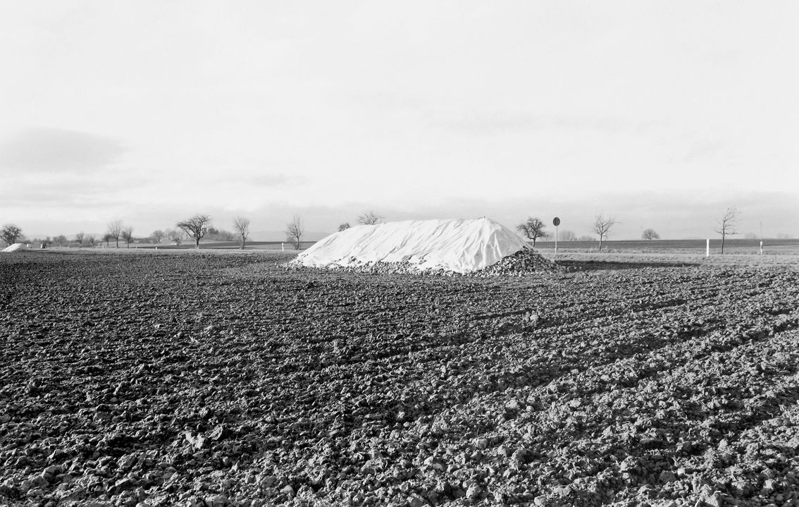 Agrarland Vorderpfalz 116