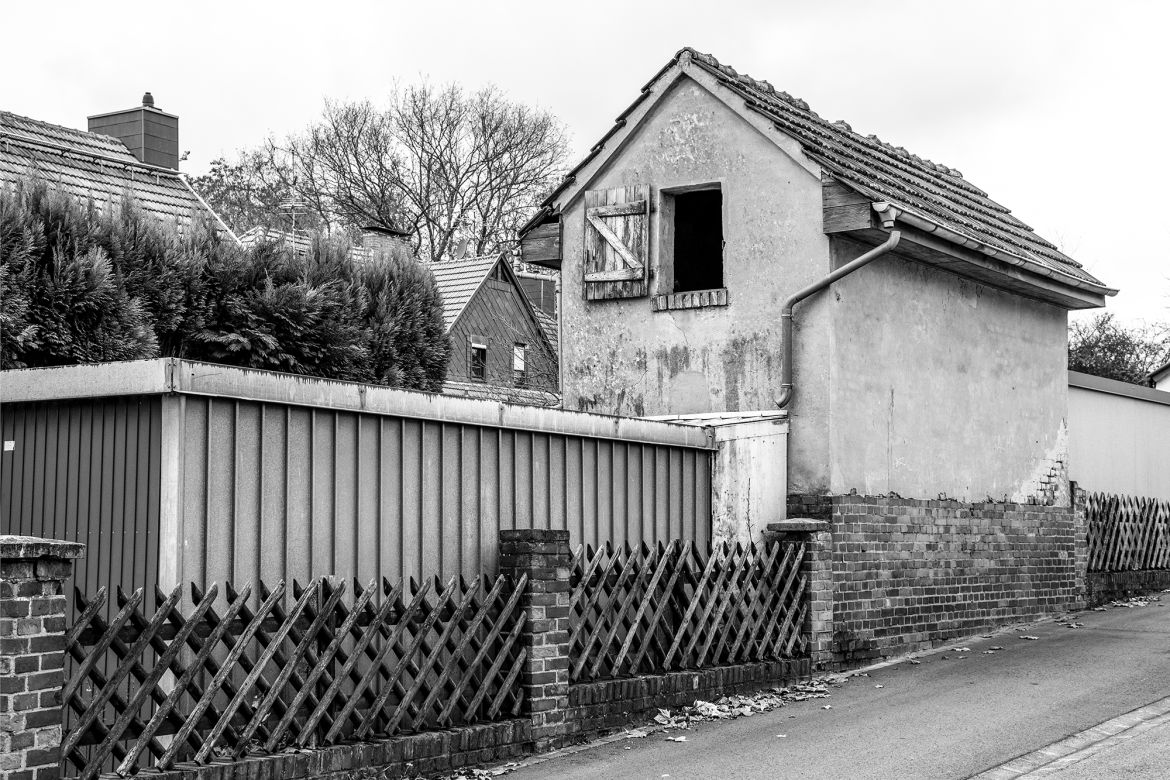 _DSC0518