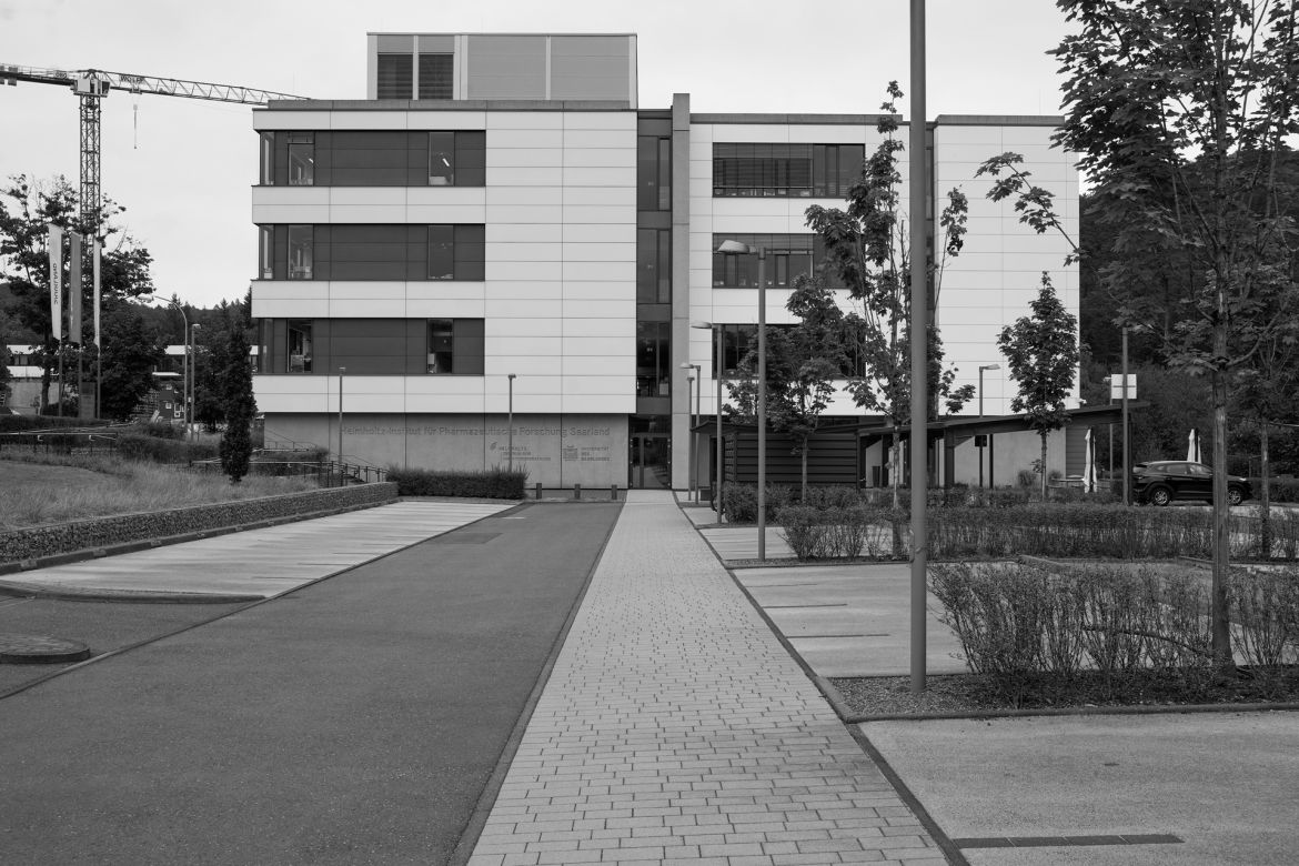 lichtung-10