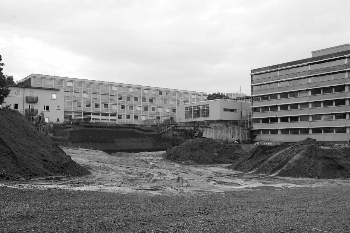 lichtung-29