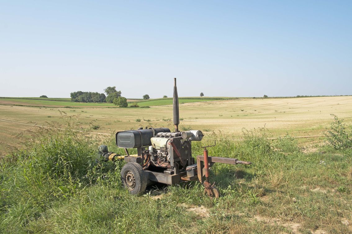 Westlich von Weingarten