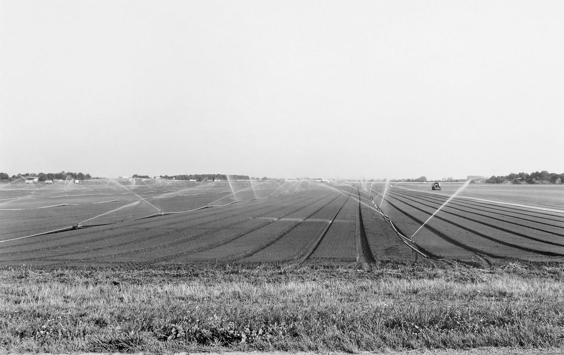 Agrarland Vorderpfalz 28