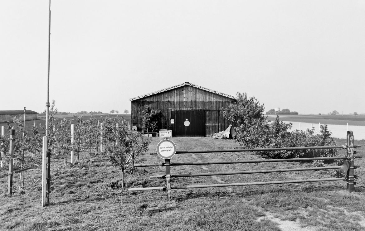 Agrarland Vorderpfalz 50