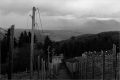 03 Struthof