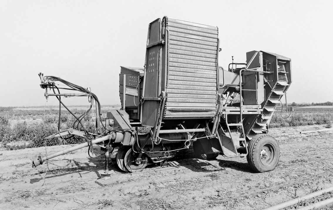 Agrarland Vorderpfalz 79