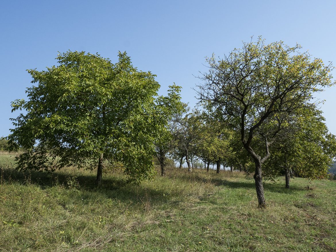 Bild 08