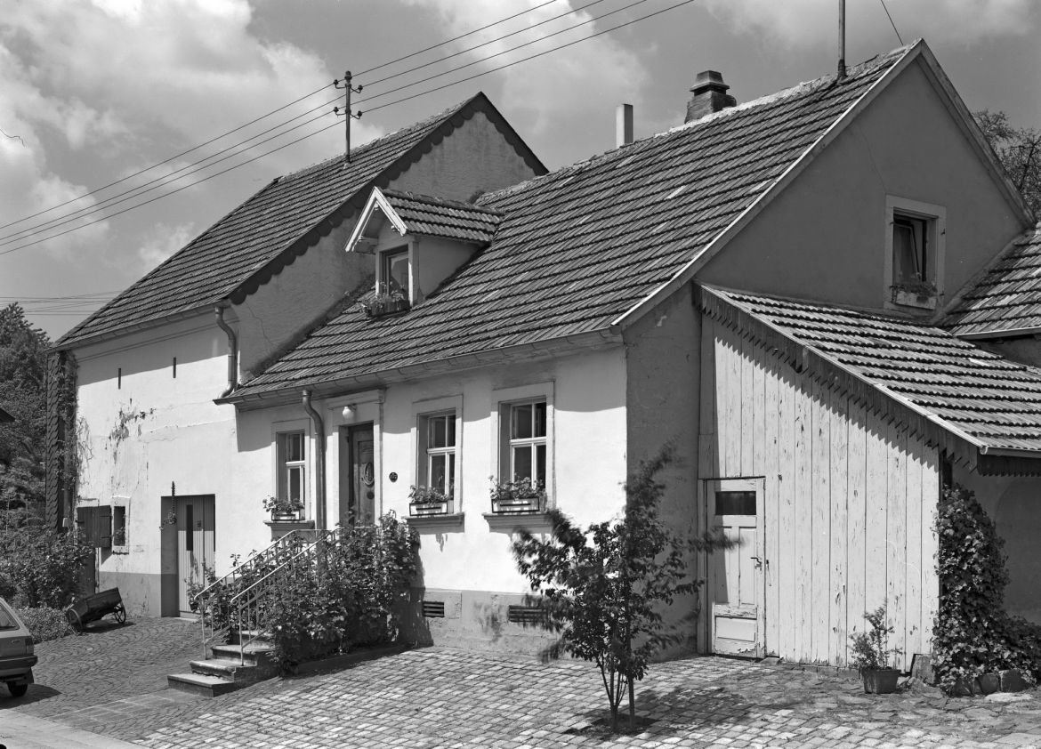 Nr. 8