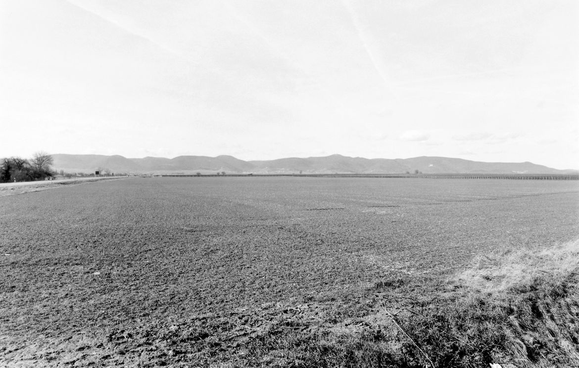 Agrarland Vorderpfalz 5