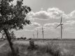 Bild 033