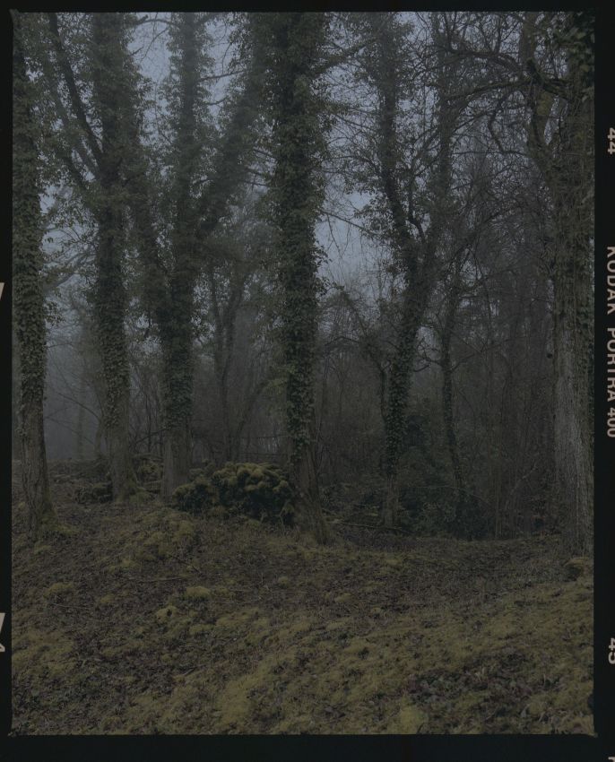 11 éparges