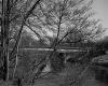 14 66271 Sitterswald - 57200 Blies-Guersviller 01
