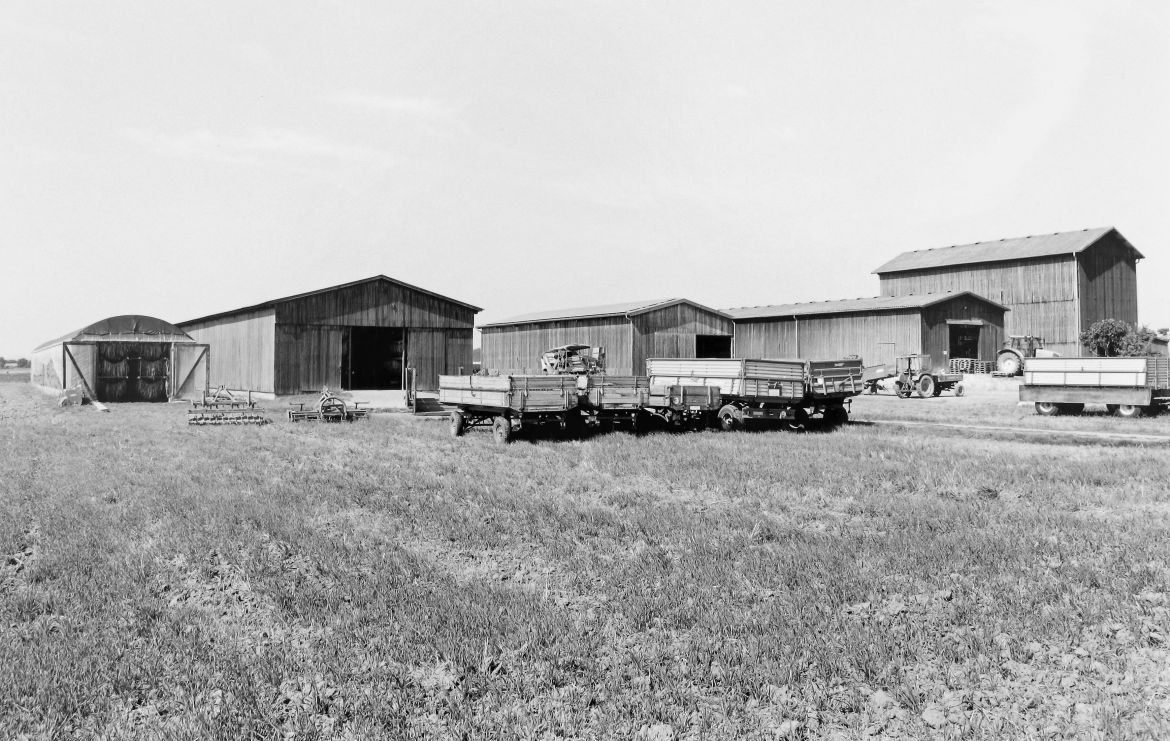 Agrarland Vorderpfalz 58