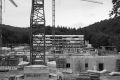 lichtung-30