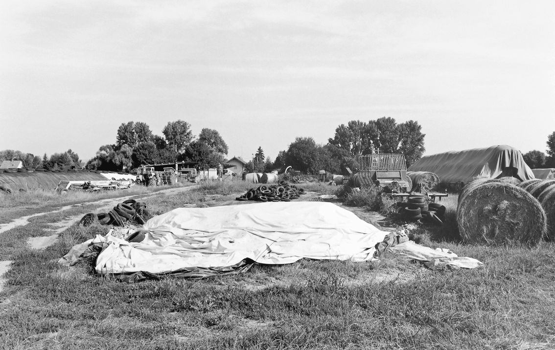 Agrarland Vorderpfalz 38