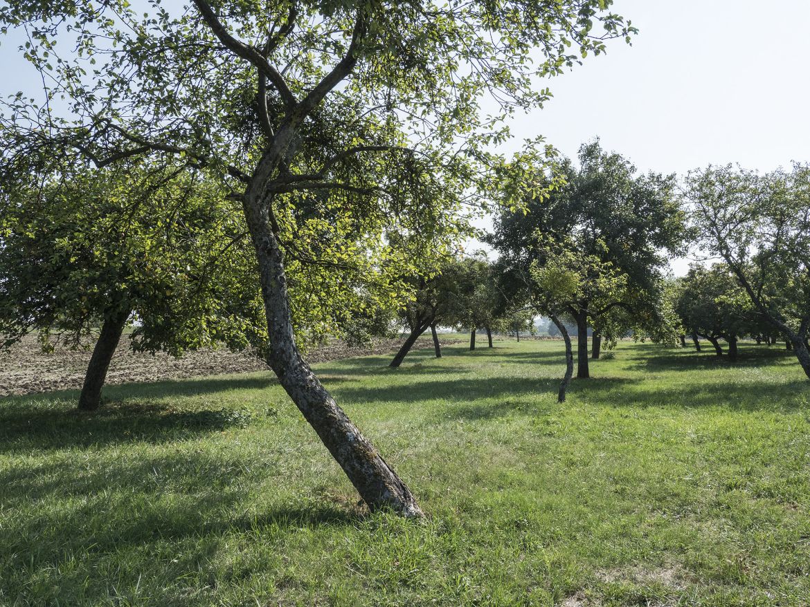 Bild 12